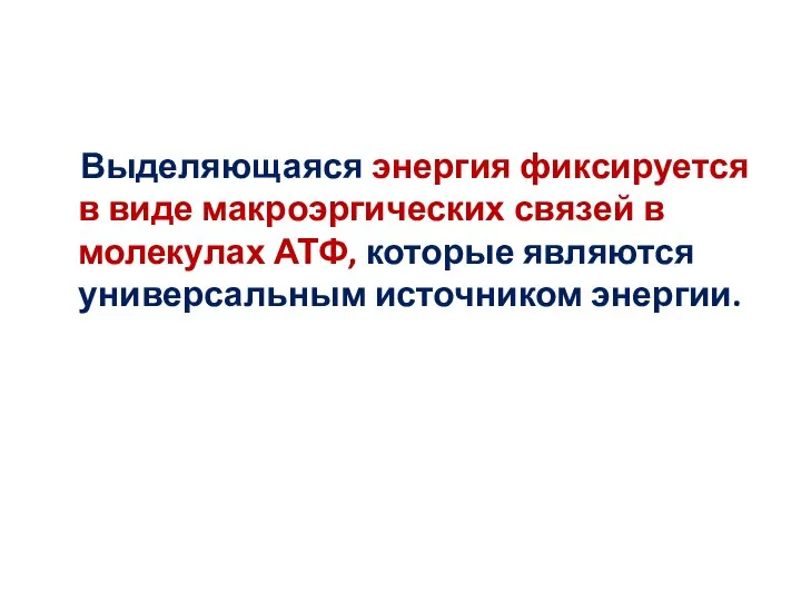 Выделяющаяся энергия фиксируется в виде макроэргических связей в молекулах АТФ, которые являются универсальным источником энергии.