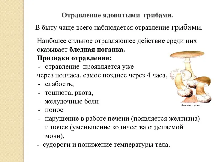 В быту чаще всего наблюдается отравление грибами. Наиболее сильное отравляющее действие среди