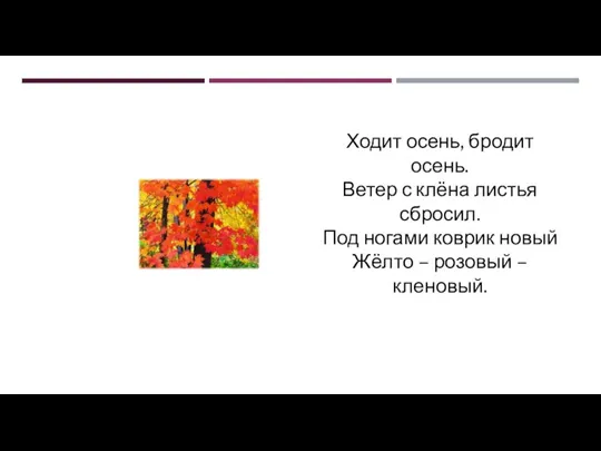 Ходит осень, бродит осень. Ветер с клёна листья сбросил. Под ногами коврик