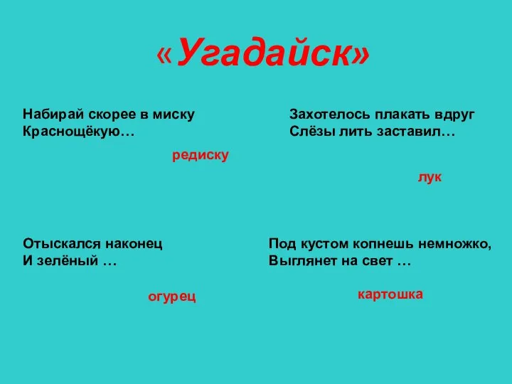 «Угадайск» Набирай скорее в миску Краснощёкую… редиску Отыскался наконец И зелёный …