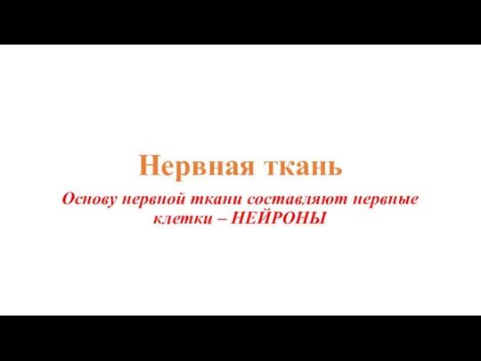 Нервная ткань Основу нервной ткани составляют нервные клетки – НЕЙРОНЫ