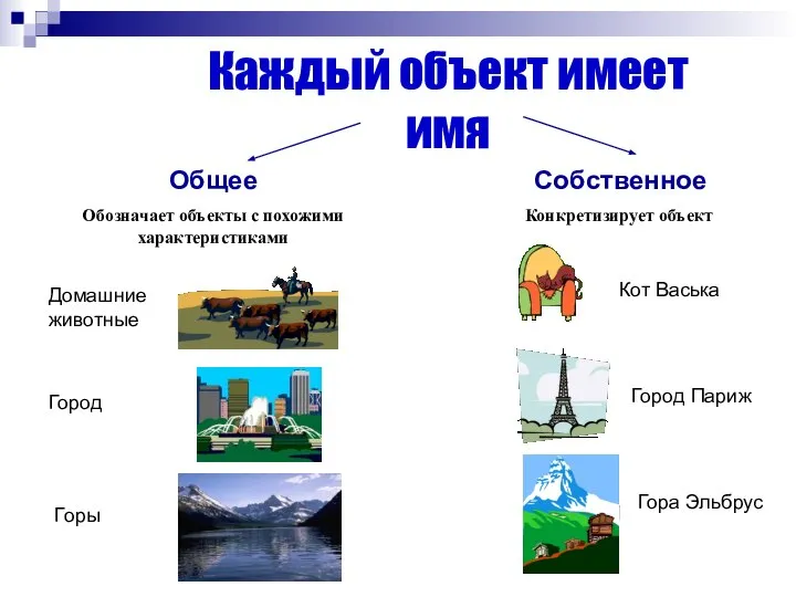 Каждый объект имеет имя Общее Обозначает объекты с похожими характеристиками Собственное Конкретизирует