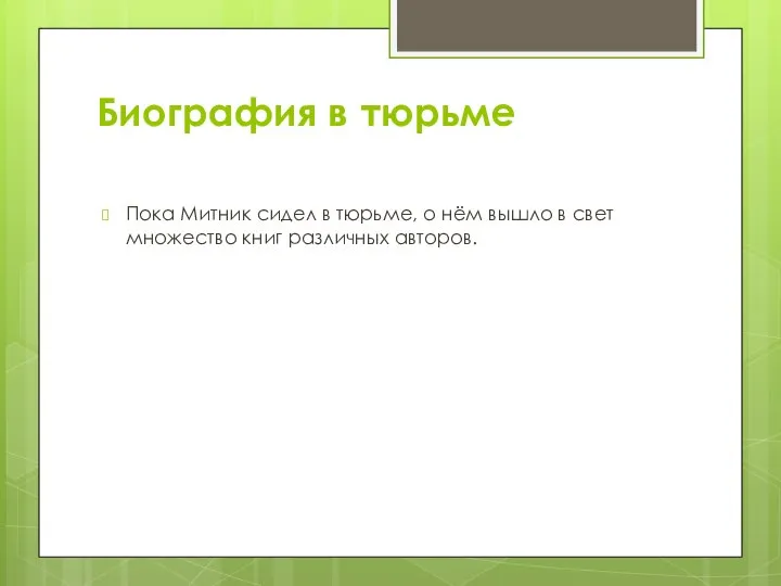 Биография в тюрьме Пока Митник сидел в тюрьме, о нём вышло в