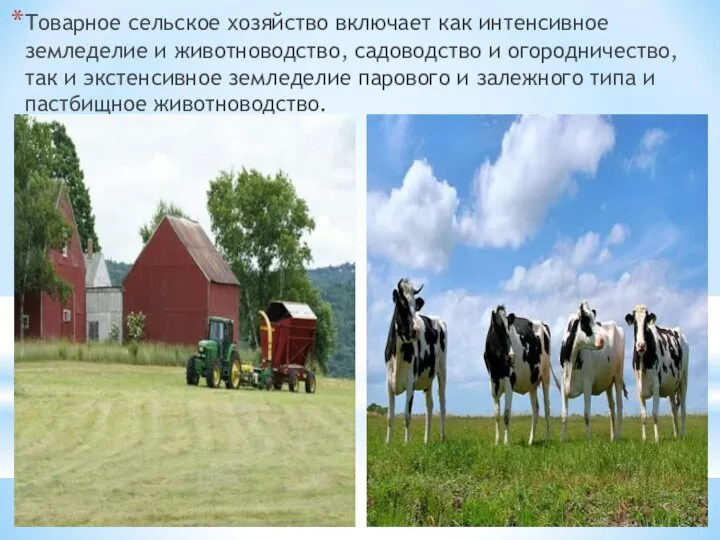 Товарное сельское хозяйство включает как интенсивное земледелие и животноводство, садоводство и огородничество,