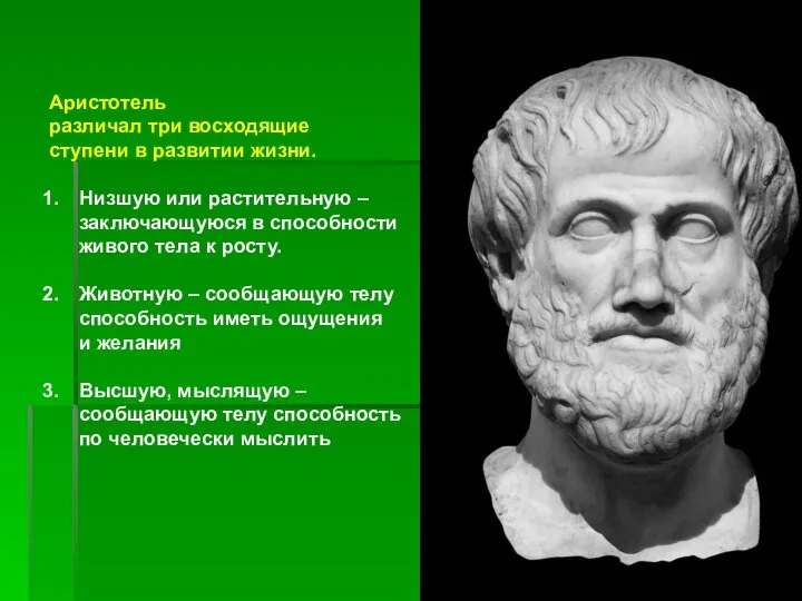 Аристотель различал три восходящие ступени в развитии жизни. Низшую или растительную –