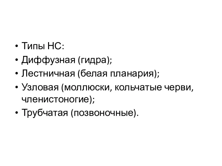 Типы НС: Диффузная (гидра); Лестничная (белая планария); Узловая (моллюски, кольчатые черви, членистоногие); Трубчатая (позвоночные).