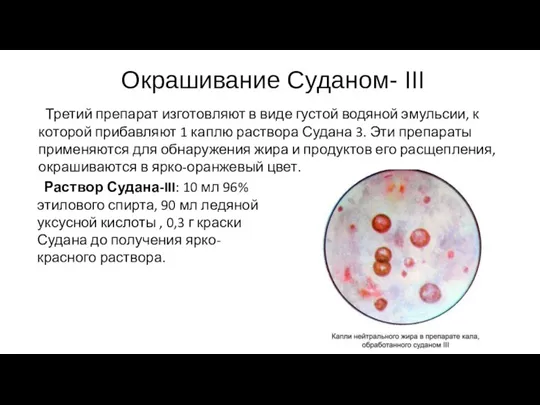 Окрашивание Суданом- III Третий препарат изготовляют в виде густой водяной эмульсии, к