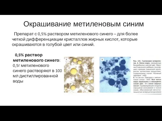 Окрашивание метиленовым синим Препарат с 0,5% раствором метиленового синего – для более