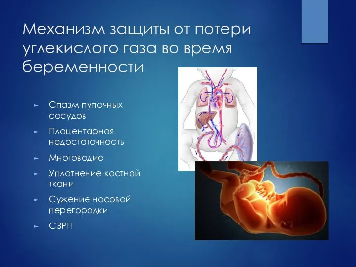 Механизм защиты от потери углекислого газа во время беременности Спазм пупочных сосудов