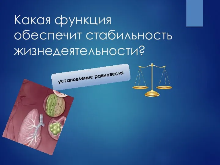 Какая функция обеспечит стабильность жизнедеятельности?