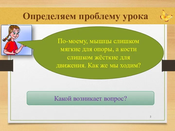 Определяем проблему урока По-моему, мышцы слишком мягкие для опоры, а кости слишком