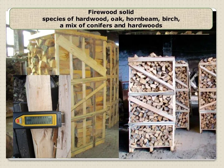 Firewood solid species of hardwood, oak, hornbeam, birch, a mix of conifers and hardwoods