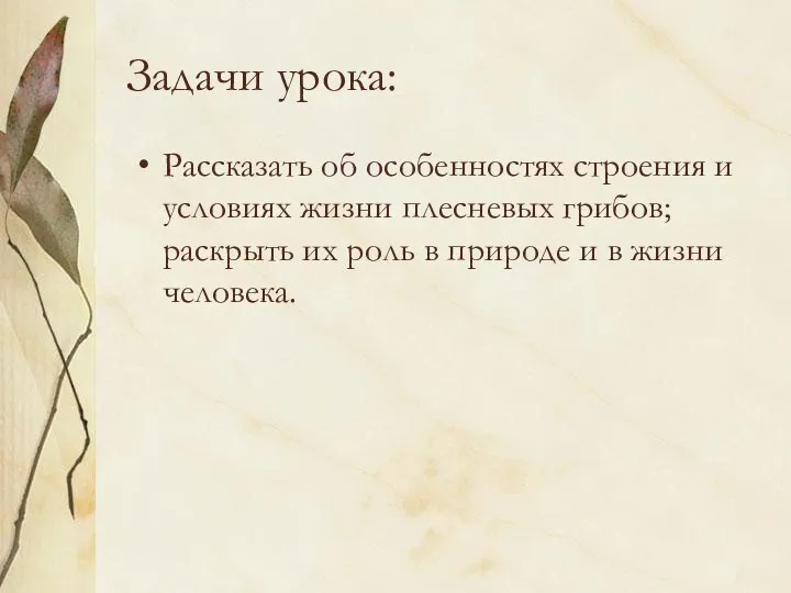 Задачи урока: Рассказать об особенностях строения и условиях жизни плесневых грибов; раскрыть