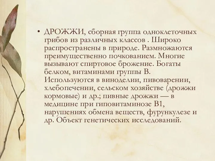 ДРОЖЖИ, сборная группа одноклеточных грибов из различных классов . Широко распространены в