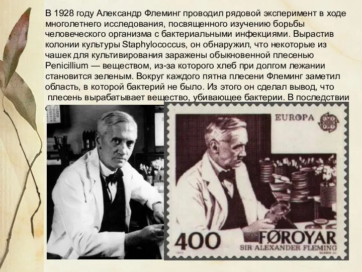 В 1928 году Александр Флеминг проводил рядовой эксперимент в ходе многолетнего исследования,