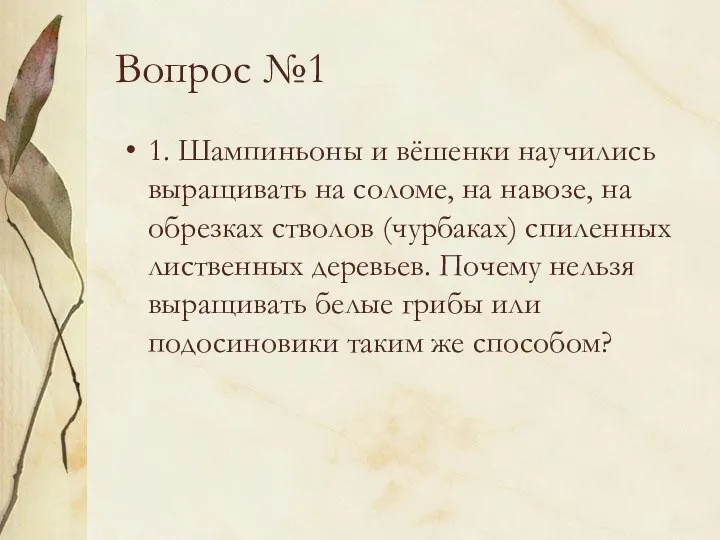 Вопрос №1 1. Шампиньоны и вёшенки научились выращивать на соломе, на навозе,