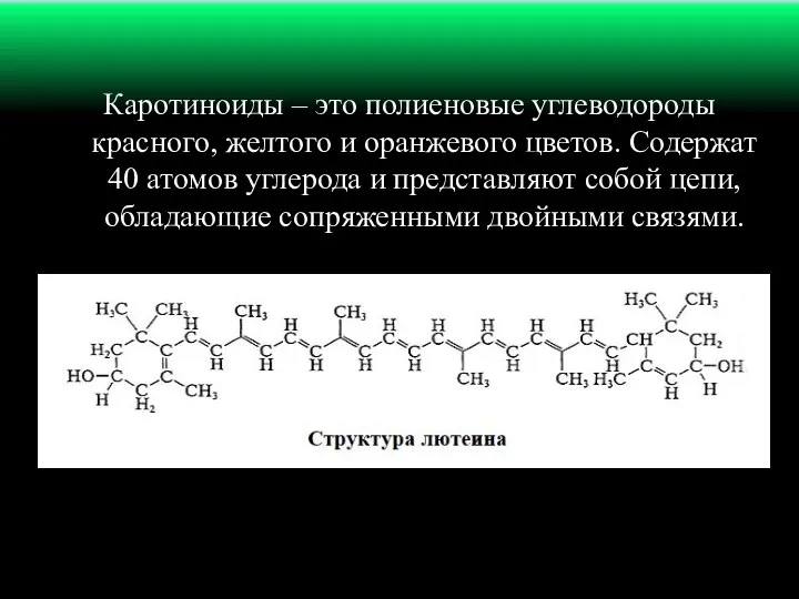 Каротиноиды – это полиеновые углеводороды красного, желтого и оранжевого цветов. Содержат 40