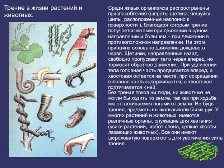 Среди живых организмов распространены приспособления (шерсть, щетина, чешуйки, шипы, расположенные наклонно к