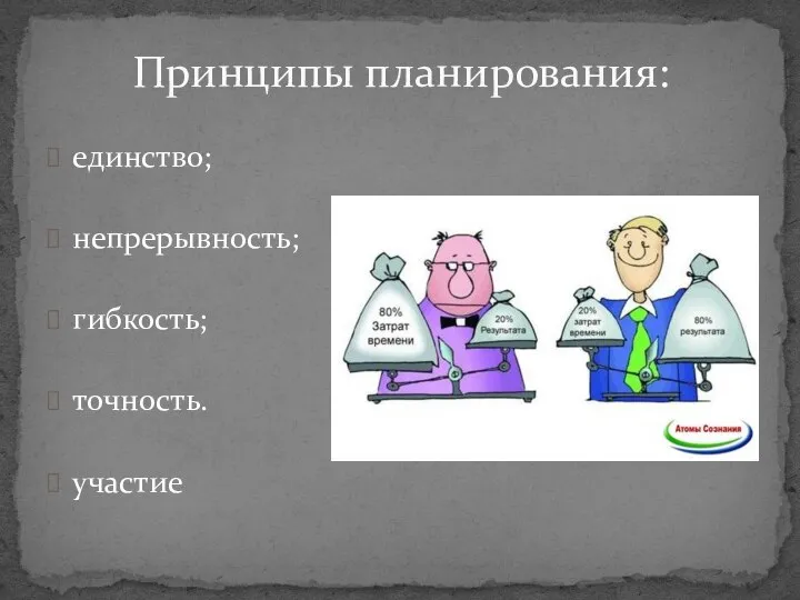 единство; непрерывность; гибкость; точность. участие Принципы планирования: