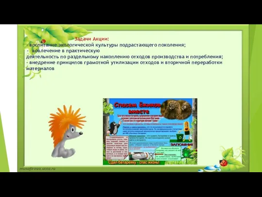 Задачи Акции: - воспитание экологической культуры подрастающего поколения; вовлечение в практическую деятельность