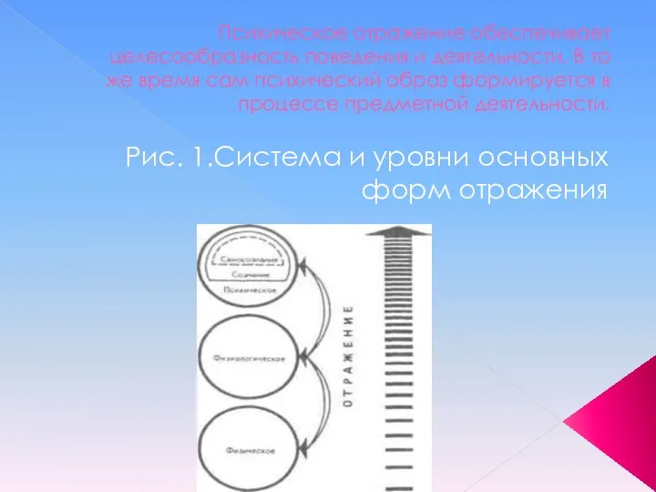 Психическое отражение обеспечивает целесообразность поведения и деятельности. В то же время сам