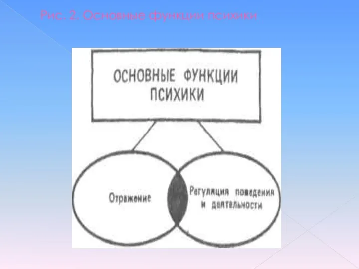 Рис. 2. Основные функции психики