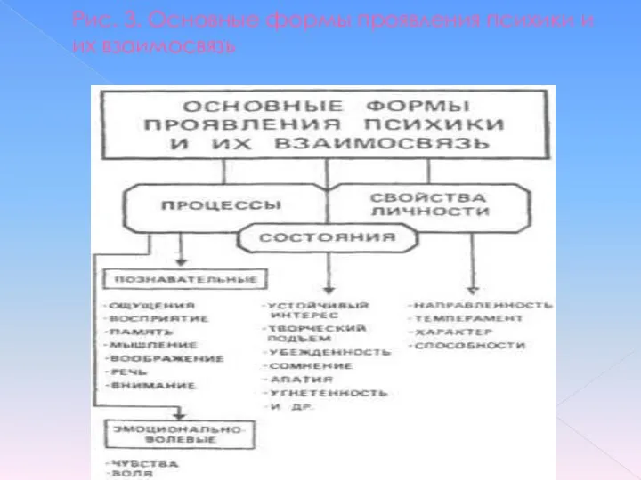 Рис. 3. Основные формы проявления психики и их взаимосвязь