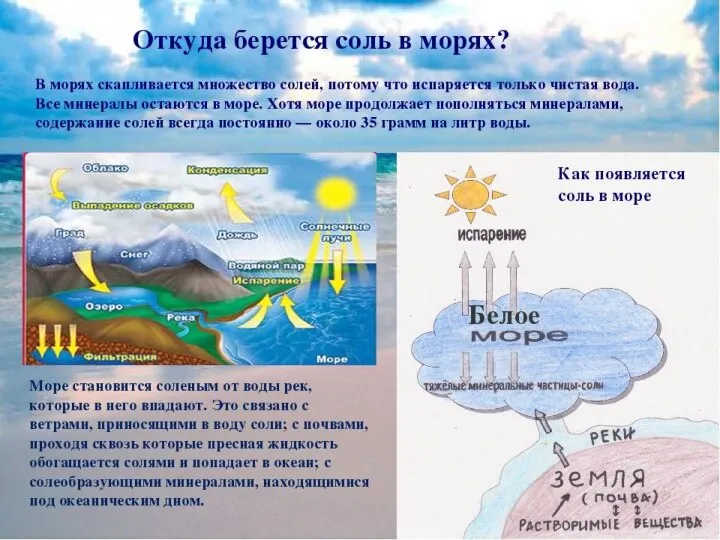 Средства индивидуальной защиты органов дыхания Срок службы фильтрующих элементов респираторов, сменных фильтров