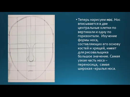 Теперь нарисуем нос. Нос вписывается в две центральные клетки по вертикали и