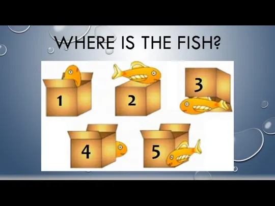 WHERE IS THE FISH?