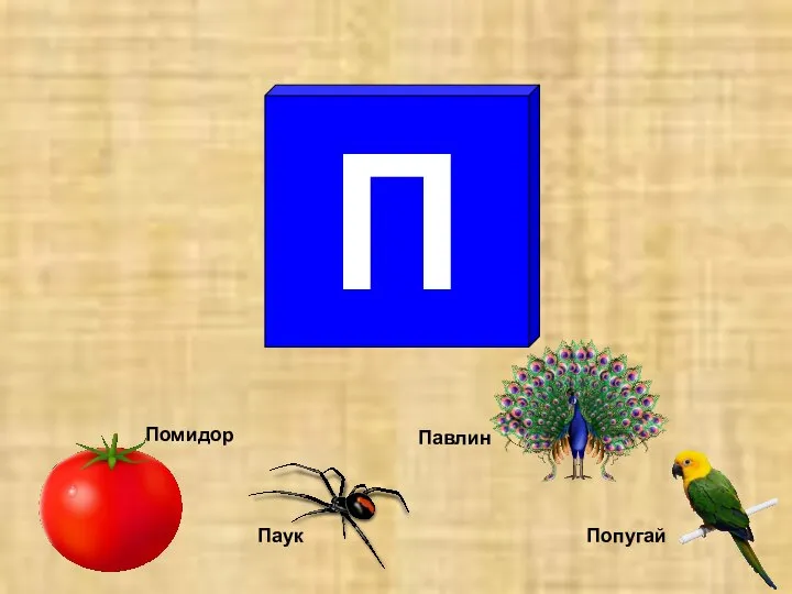 П Паук Попугай Павлин Помидор