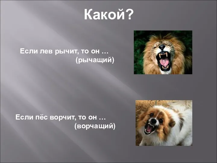 Какой? Если лев рычит, то он … (рычащий) Если пёс ворчит, то он … (ворчащий)