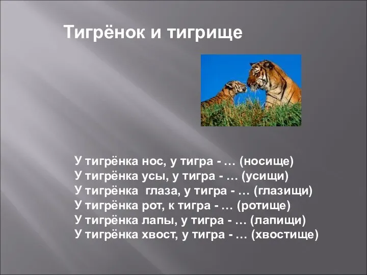 Тигрёнок и тигрище У тигрёнка нос, у тигра - … (носище) У