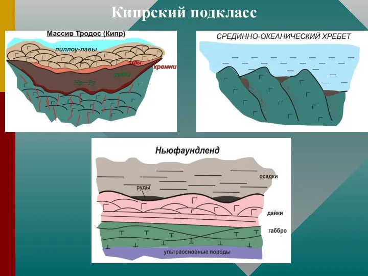 Кипрский подкласс