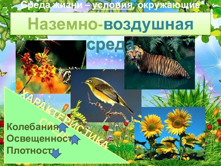 Среда жизни – условия, окружающие организм. Наземно-воздушная среда ХАРАКТЕРИСТИКА СРЕДЫ Колебания t Освещенность Плотность