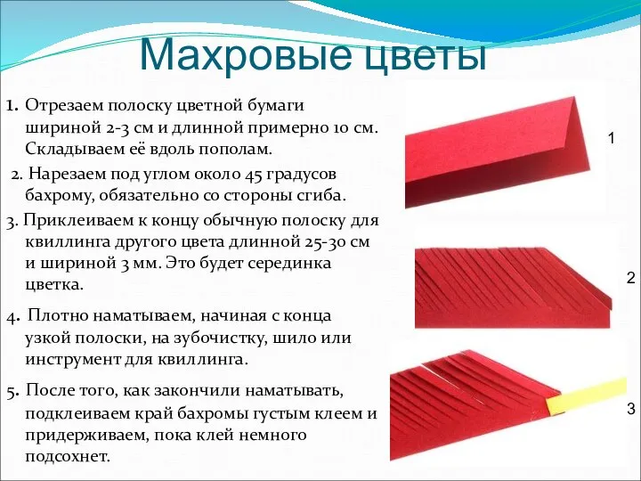 Махровые цветы 1. Отрезаем полоску цветной бумаги шириной 2-3 см и длинной