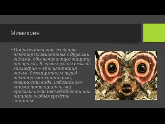 Мимикрия Подражательное сходство некоторых животных с другими видами, обеспечивающее защиту от врагов.