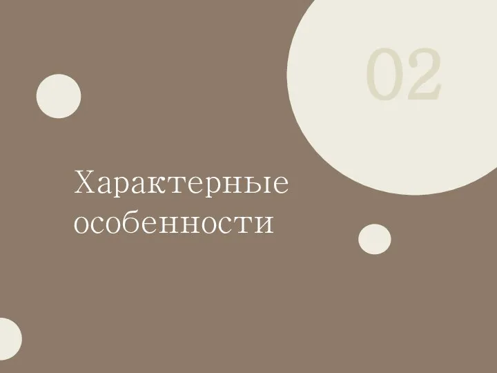 02 Характерные особенности