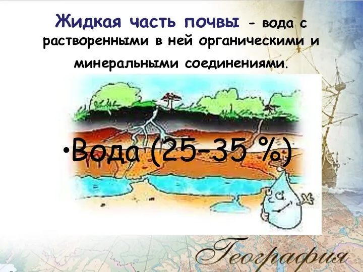 Жидкая часть почвы - вода с растворенными в ней органическими и минеральными соединениями. Вода (25–35 %)