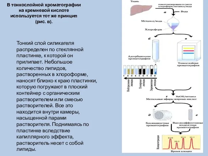 В тонкослойной хроматографии на кремневой кислоте используется тот же принцип (рис. в).