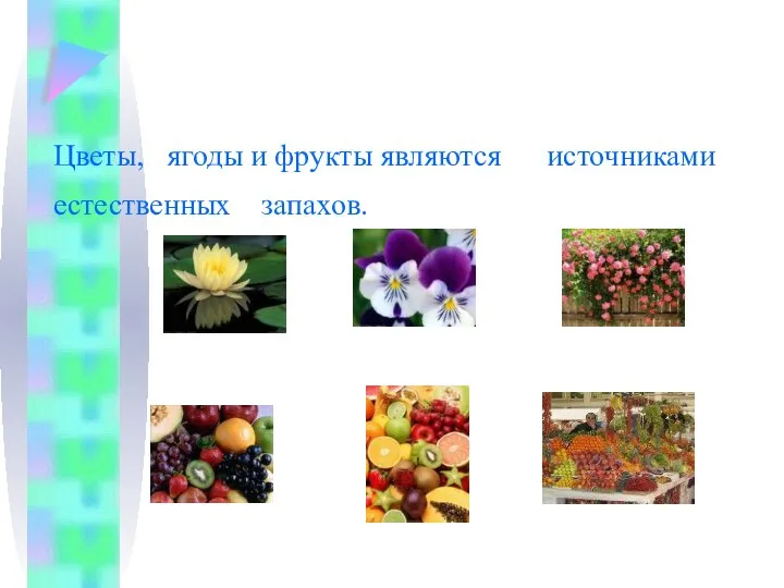 Цветы, ягоды и фрукты являются источниками естественных запахов.