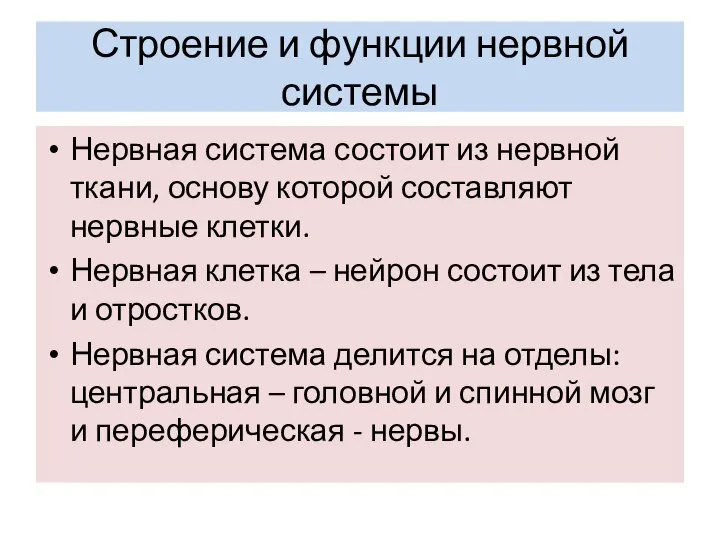 Строение и функции нервной системы Нервная система состоит из нервной ткани, основу