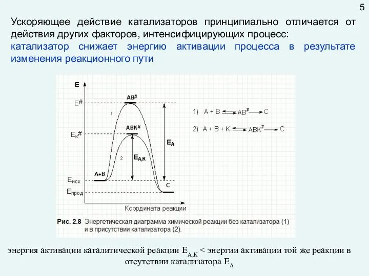 Ускоряющее действие катализаторов принципиально отличается от действия других факторов, интенсифицирующих процесс: катализатор