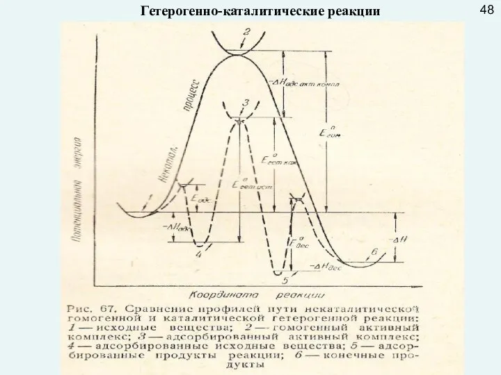 Гетерогенно-каталитические реакции 48