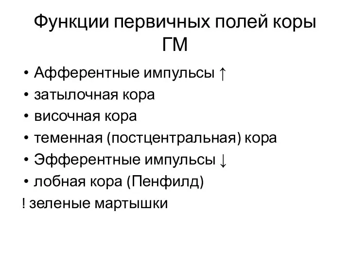 Функции первичных полей коры ГМ Афферентные импульсы ↑ затылочная кора височная кора