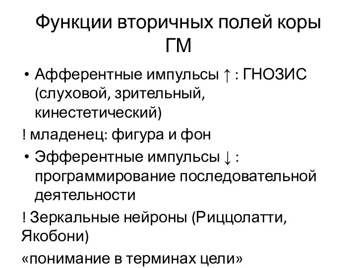 Функции вторичных полей коры ГМ Афферентные импульсы ↑ : ГНОЗИС (слуховой, зрительный,