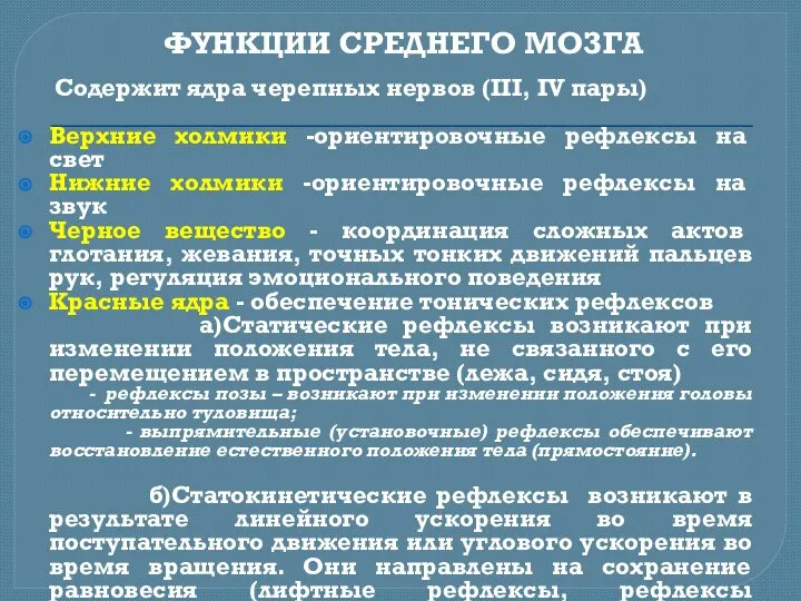 ФУНКЦИИ СРЕДНЕГО МОЗГА Содержит ядра черепных нервов (III, IV пары) Верхние холмики