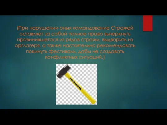 (При нарушении оных командование Стражей оставляет за собой полное право вычеркнуть провинившегося