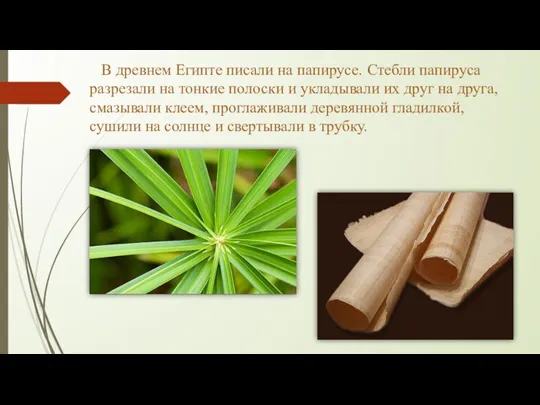 В древнем Египте писали на папирусе. Стебли папируса разрезали на тонкие полоски