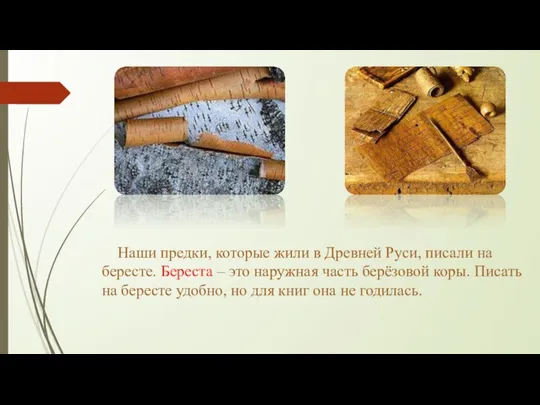 Наши предки, которые жили в Древней Руси, писали на бересте. Береста –